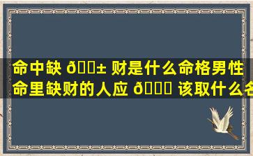 命中缺 🐱 财是什么命格男性（命里缺财的人应 🐝 该取什么名字）